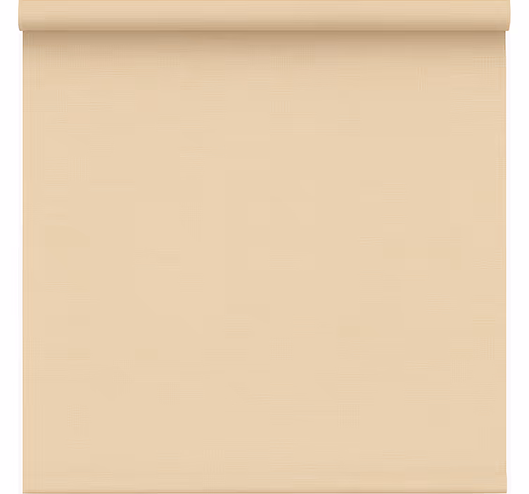 Cortina roller oficina beige simple traslúcido - TenVinilo