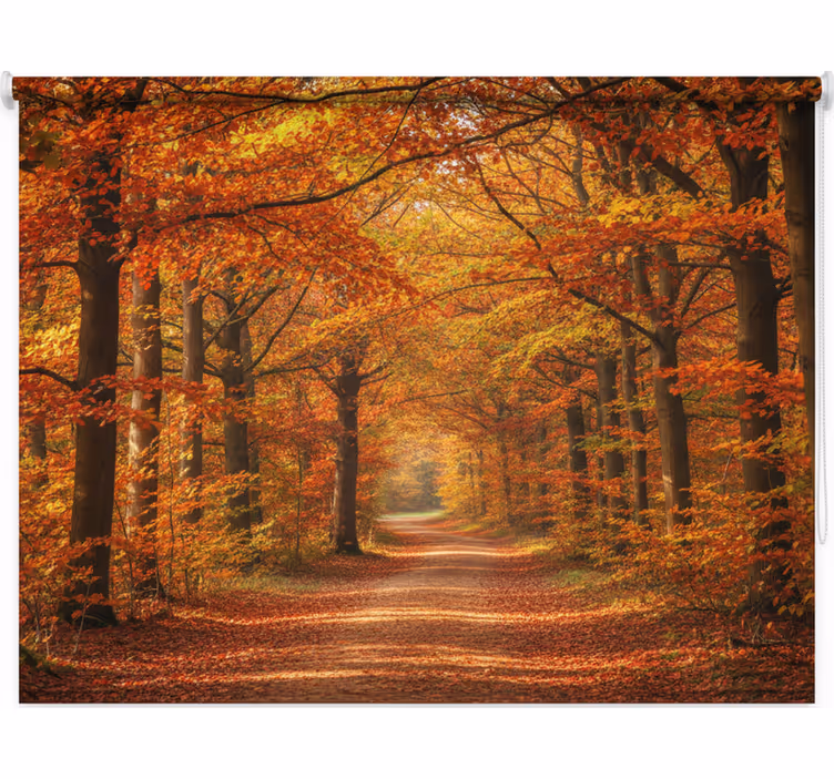 Cortina roller árboles sendero de árboles en otoño - TenVinilo