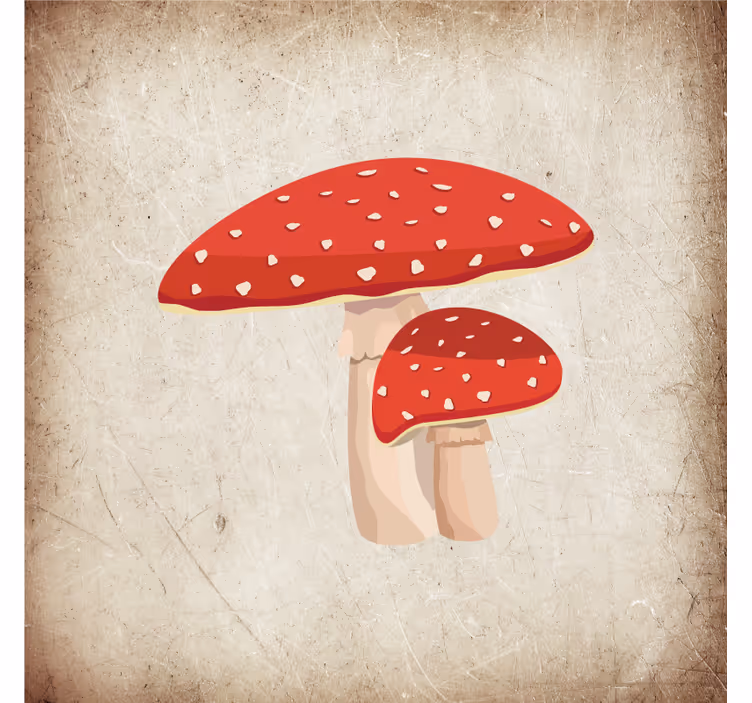 Cortina roller cocina ilustración de seta amanita - TenVinilo