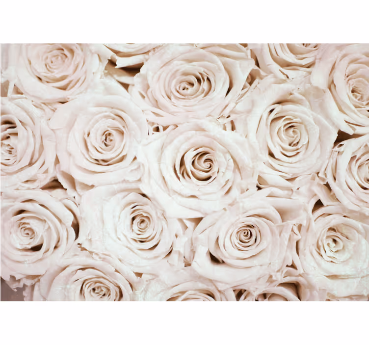 Cortina roller blanca diseño de flores rosas elegante - TenVinilo