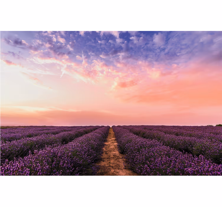 Cortina roller living comedor flores de lavanda en francia - TenVinilo