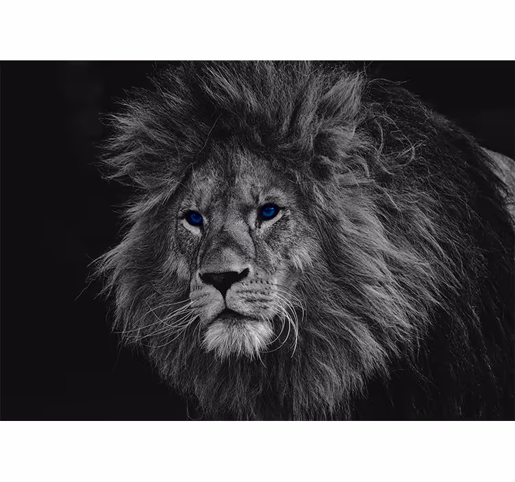 Cortina roller gris león de ojos azules - TenVinilo