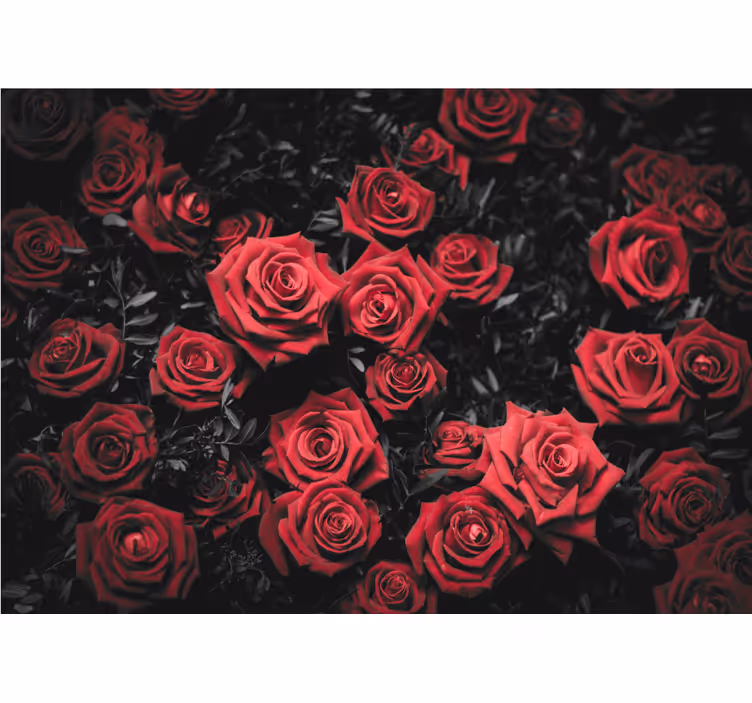 Cortina roller habitación blanco y negro con rosas rojas - TenVinilo