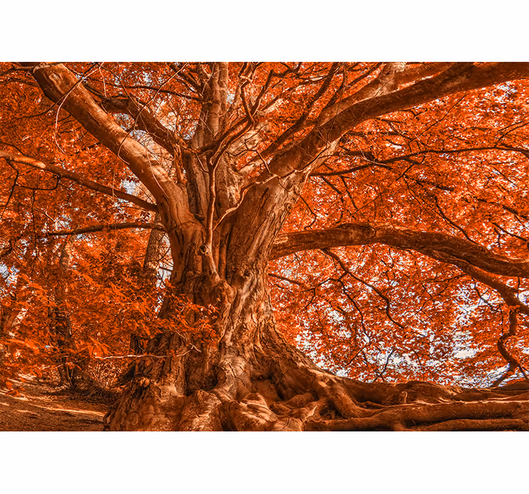 Cortina roller habitación gran árbol hermoso de otoño - TenVinilo