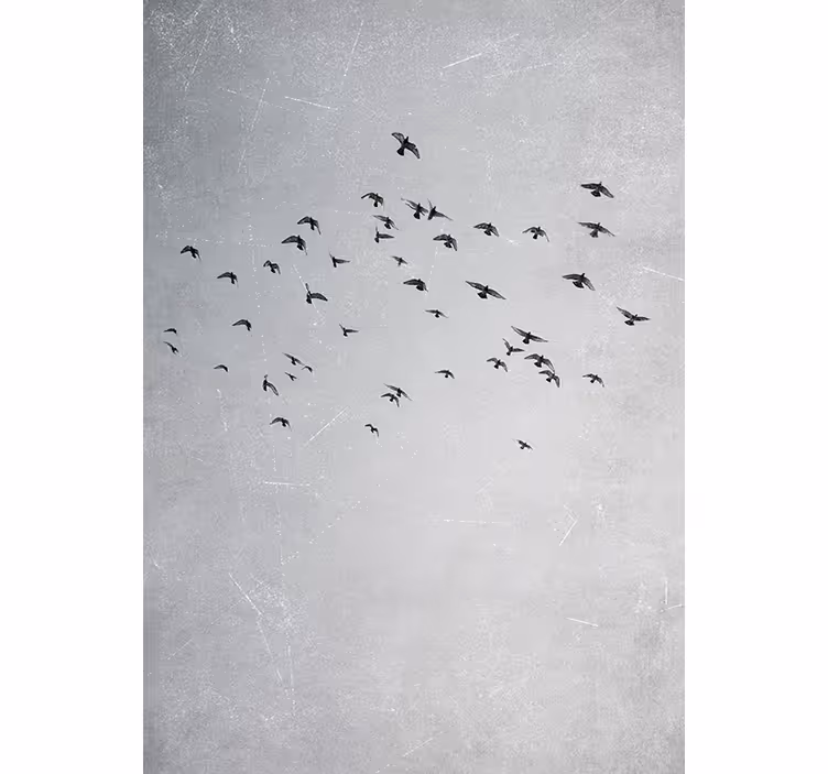 Cortina roller habitación aves volando - TenVinilo