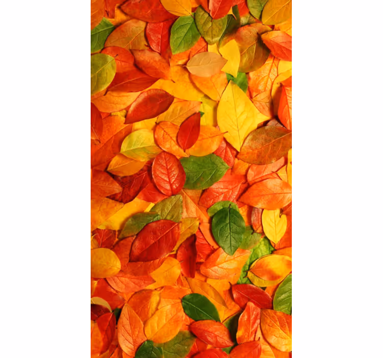 Cortina roller cocina vinilo decorativo hojas otoño - TenVinilo