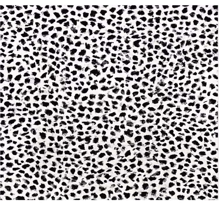 Cortina roller negra estampado de leopardo monocromo - TenVinilo