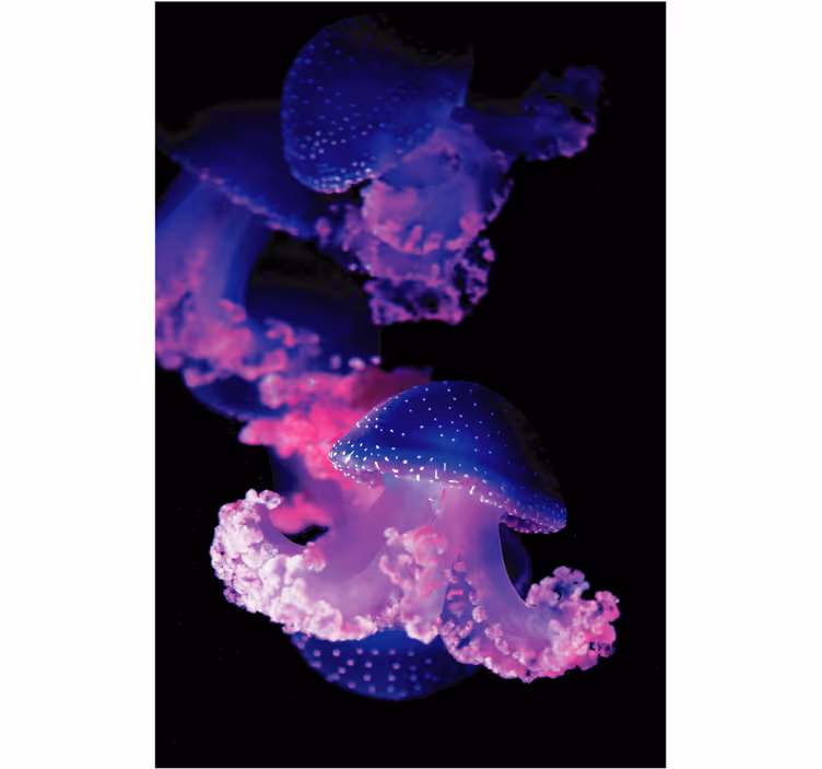 Cortina roller baño medusa morada - TenVinilo