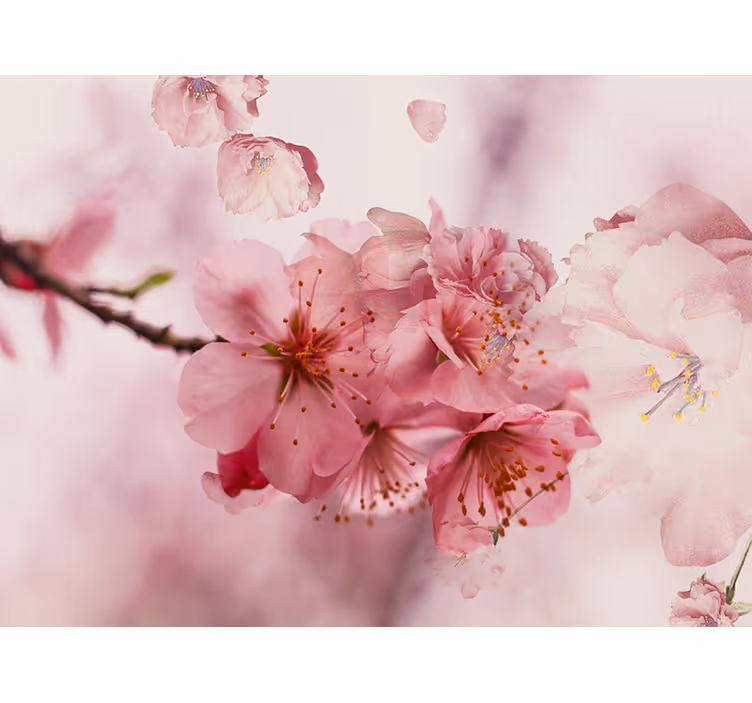 Cortina roller baño flores de baño - TenVinilo