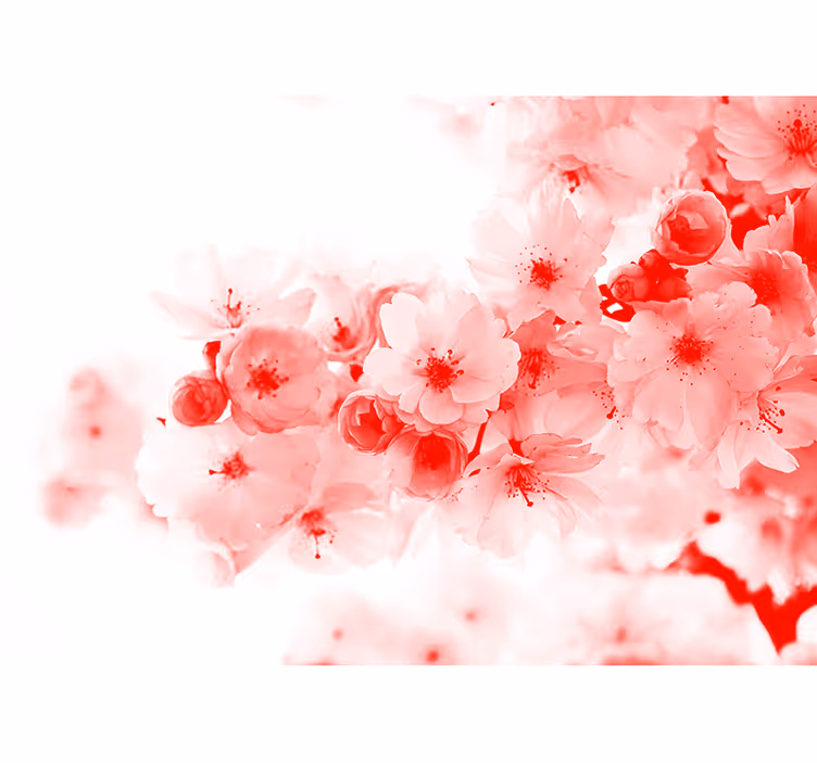 Cortina roller zen wallpaper - arbusto rojo - TenVinilo