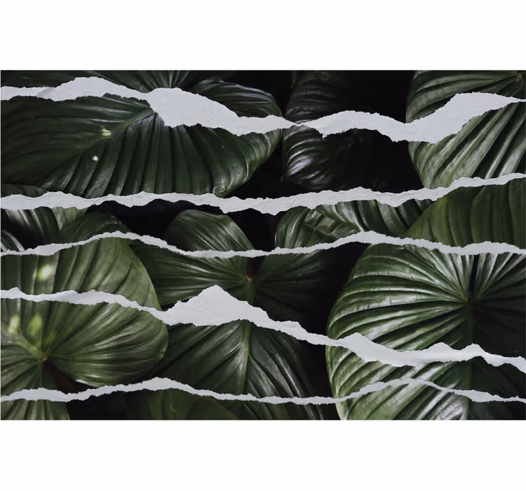 Estor habitación matrimonio Fondo de hoja con papel rasgado - TenVinilo