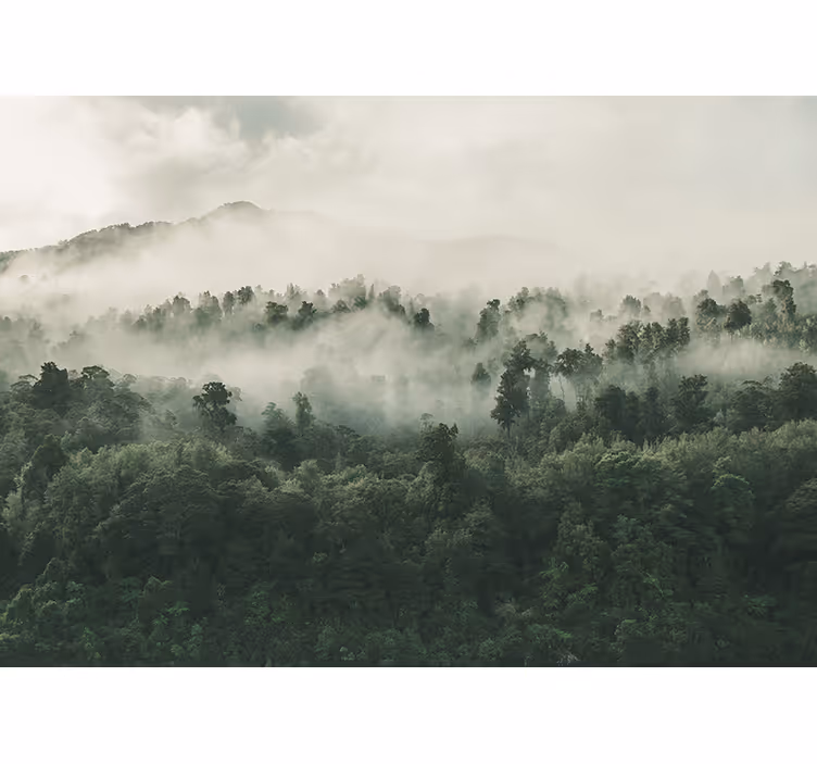 Estor salón Selva tropical verde con niebla - TenVinilo