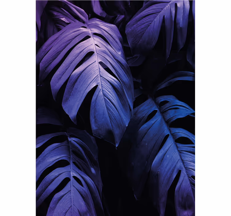 Cortina roller flores follaje de monstera deliciosa - TenVinilo