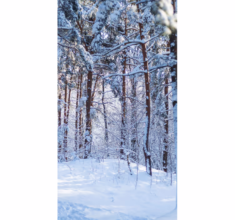 Cortina roller árboles bosque de pinos nevados - TenVinilo