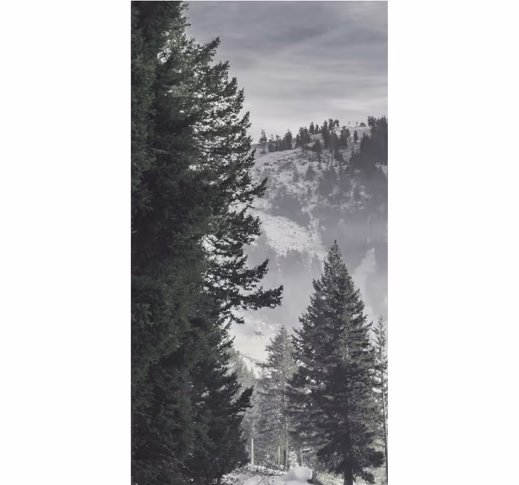 Cortina roller árboles majestuosos pinos de montaña - TenVinilo