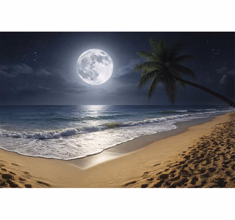 Mural de mar luna llena en el océano - TenVinilo