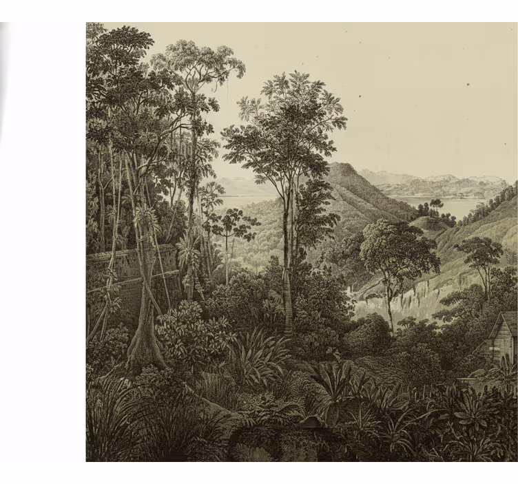 Mural de bosque estampa de bosque ondulado - TenVinilo