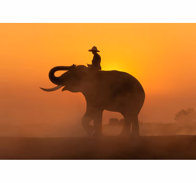 Mural de animales silueta de elefante - TenVinilo
