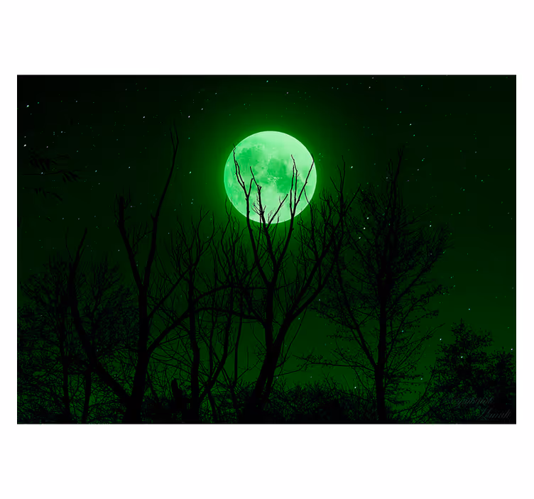 Mural de fantasía silueta musical iluminada por la luna - TenVinilo