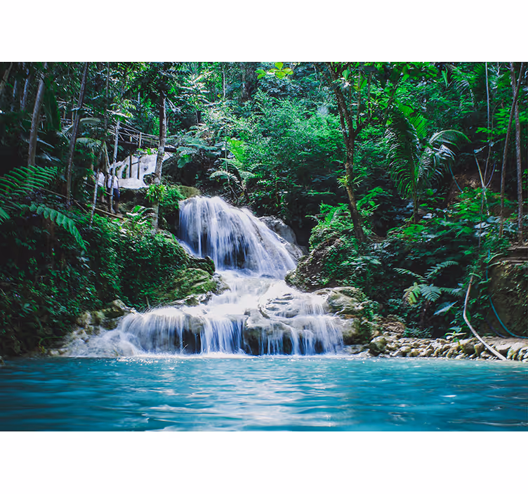 Fotomural paisaje bosque tropical para salón - TenVinilo