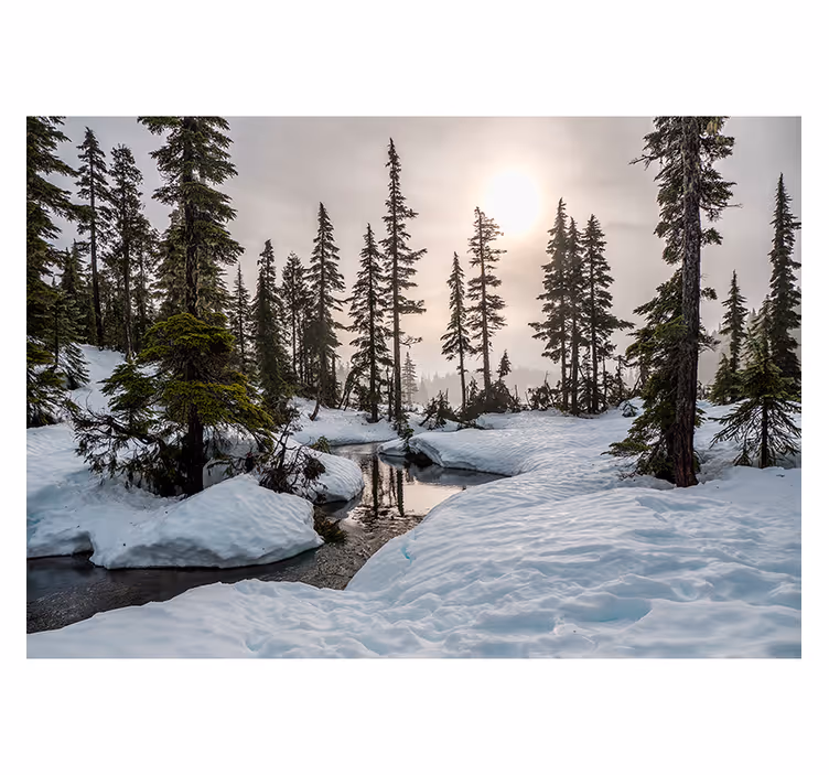 Fotomural paisaje nevado con sol de invierno - TenVinilo