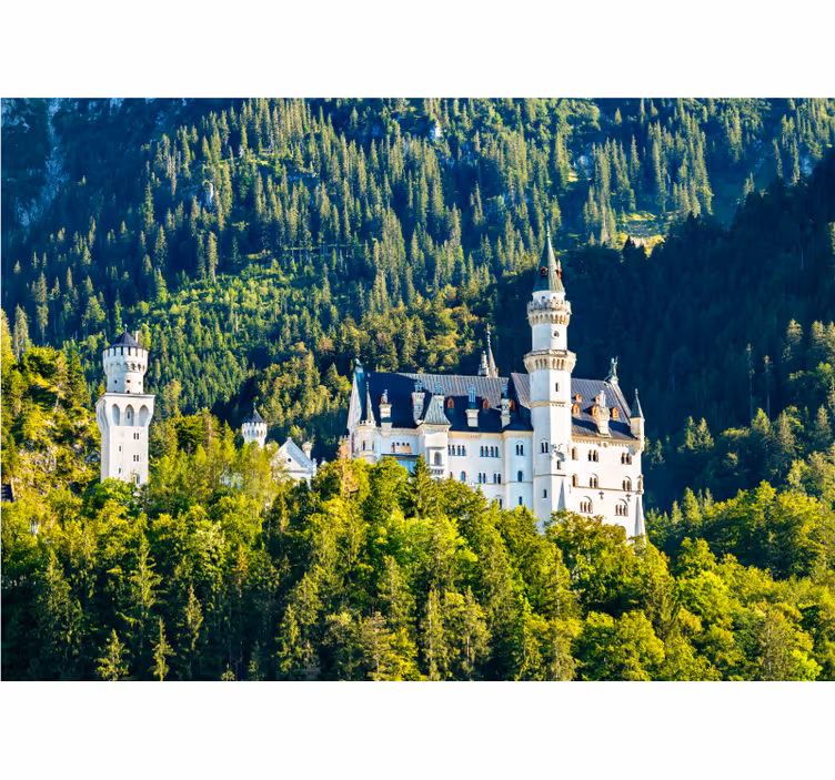 Mural ciudad vista del castillo de neuschwanstein - TenVinilo