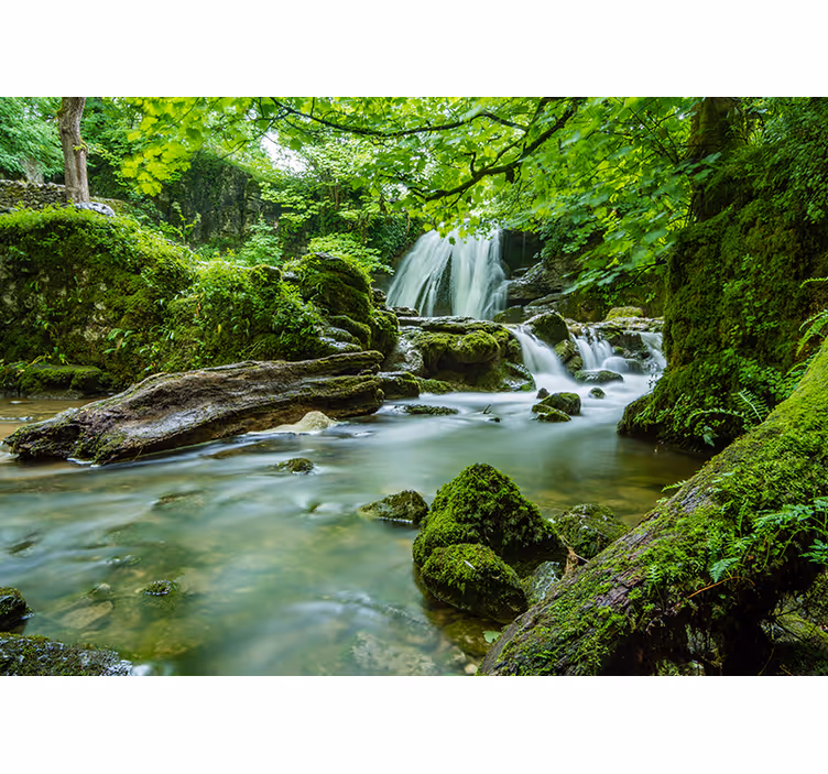 Fotomural 3D Bosque con cascada y rio - TenVinilo