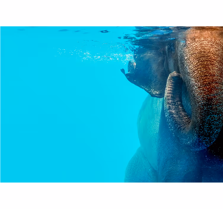 Fotomural mar Sala de estar elefante bajo el mar - TenVinilo