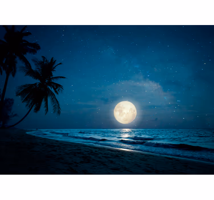 Mural de naturaleza escena del océano iluminado por la luna - TenVinilo