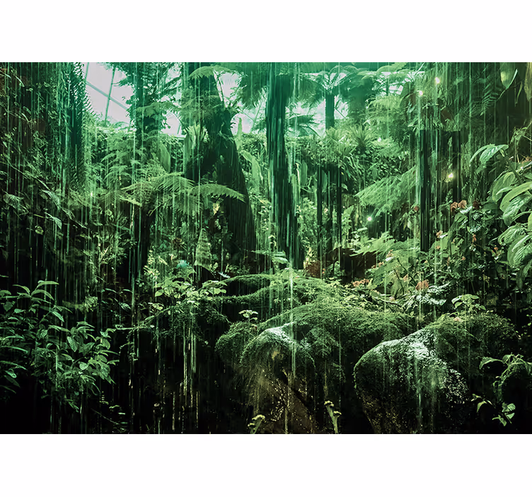 Fotomural de bosque Vida del tempus amazónico - TenVinilo