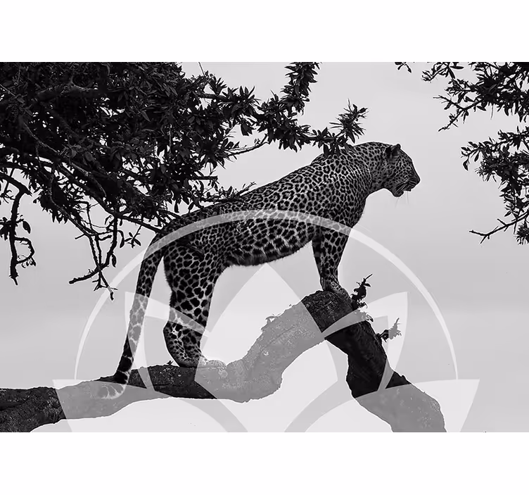 Mural de animales leopardo en el árbol - TenVinilo