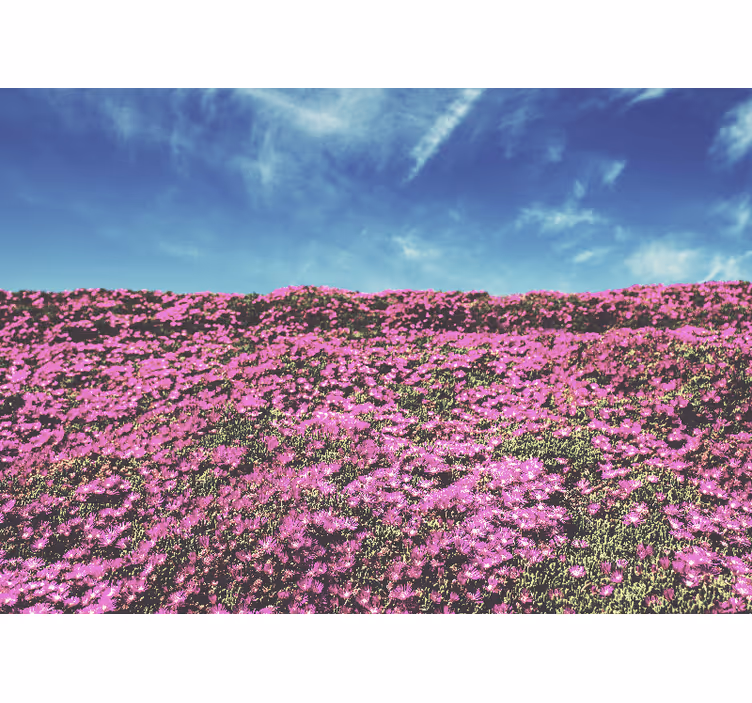 Mural de flores florecitas de tonalidad rosa vibrante - TenVinilo