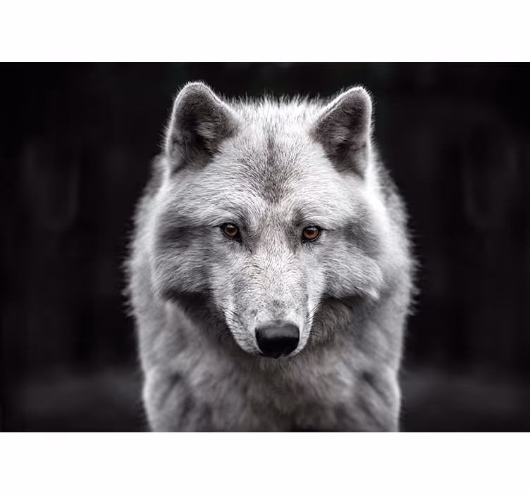 Mural de animales majestuoso retrato de lobo - TenVinilo