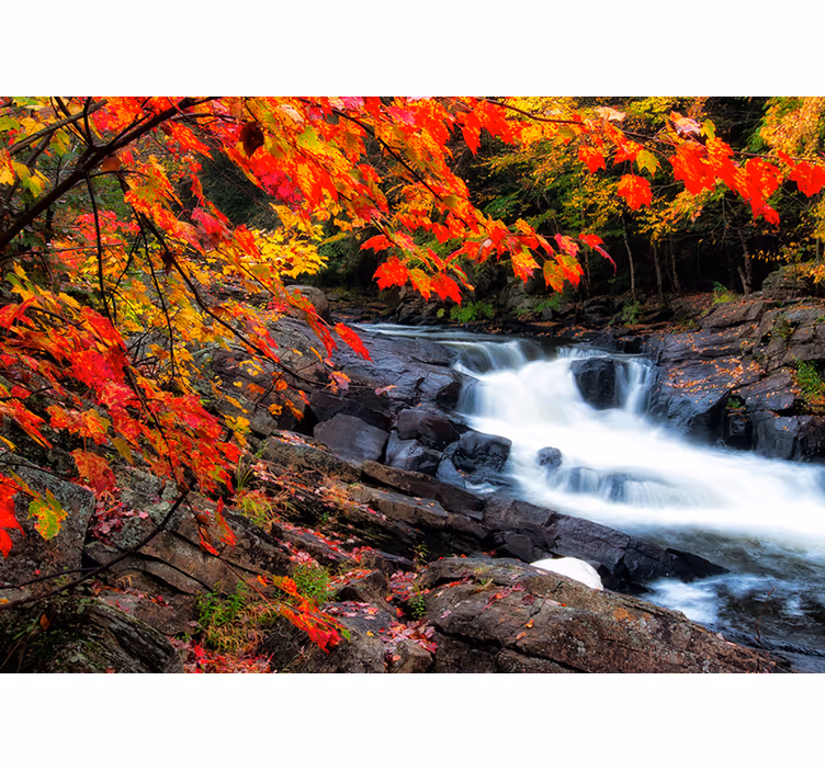 Mural de bosque paisaje de cascada en otoño - TenVinilo