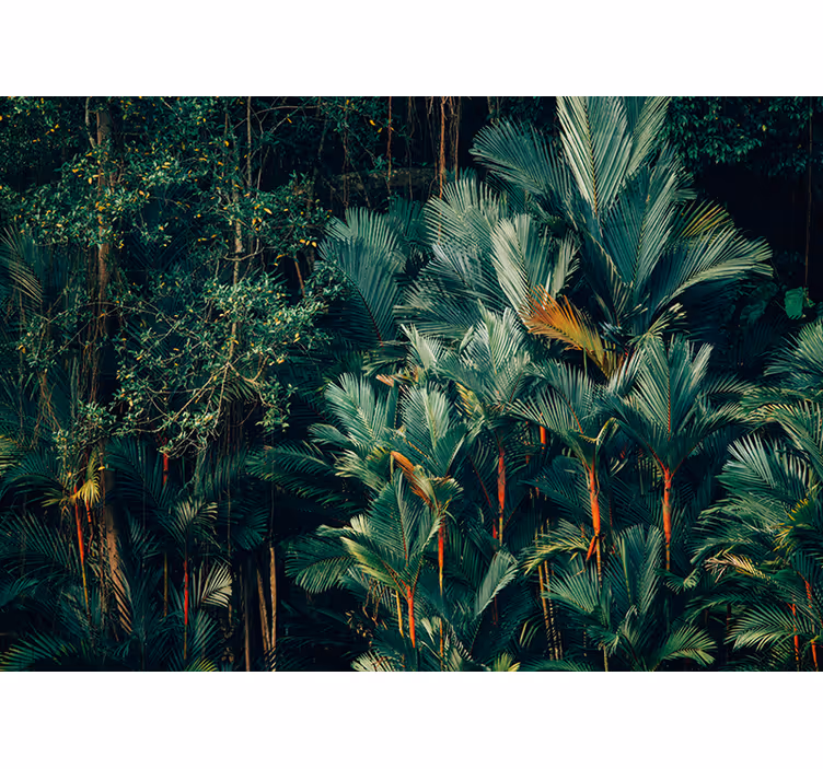 Mural de naturaleza follaje de palma exótica - TenVinilo