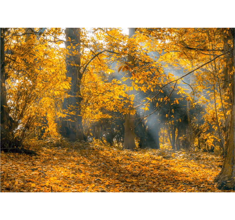 Mural de naturaleza Árboles de otoño dorado - TenVinilo