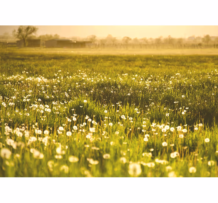 Mural de flores paisaje de pradera de diente de león - TenVinilo