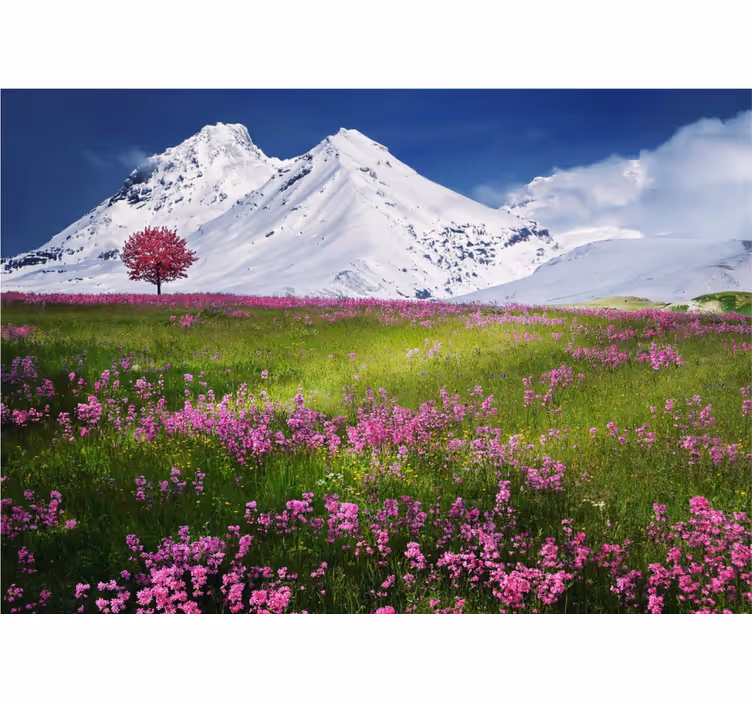 Fotomural naturaleza Paisaje noruego cama de flores - TenVinilo