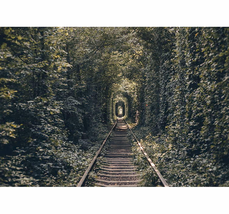 Fotomural habitación matrimonio Túnel ferroviario de árboles y ar - TenVinilo