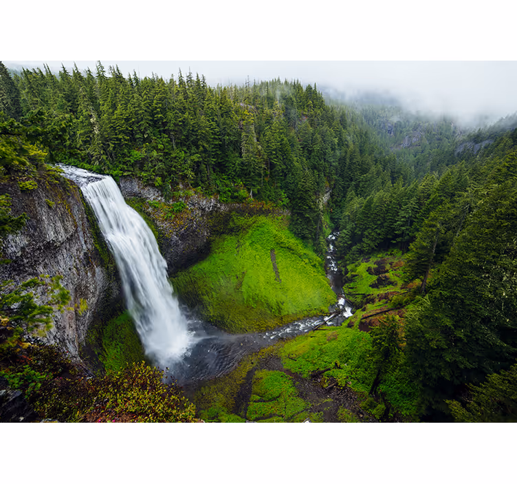 Mural de naturaleza cascada verde frondosa - TenVinilo