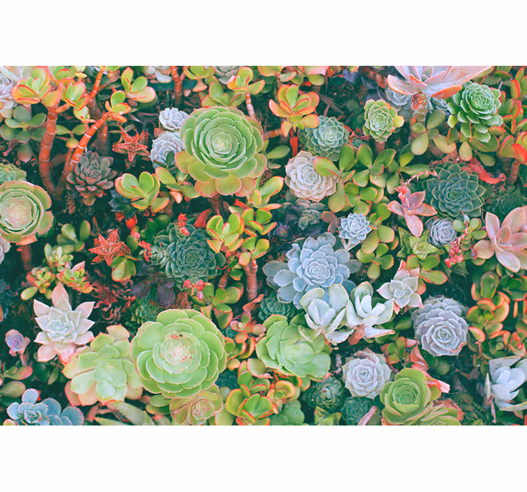 Fotomural naturaleza Hojas delgadas tropicales multicolores - TenVinilo