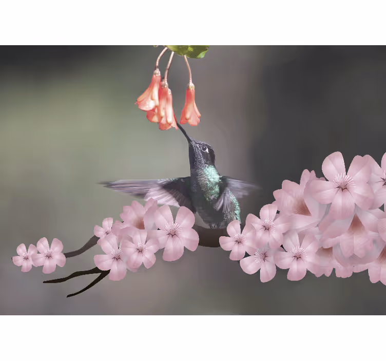 Mural de animales colibríes y flores - TenVinilo