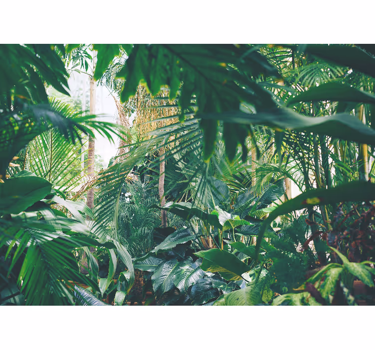 Mural para salón Vegetación forestal hojas verdes - TenVinilo