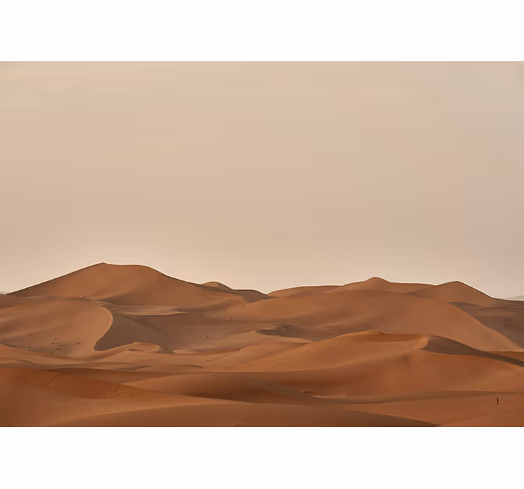 Mural de desierto paisaje del desierto arenoso - TenVinilo
