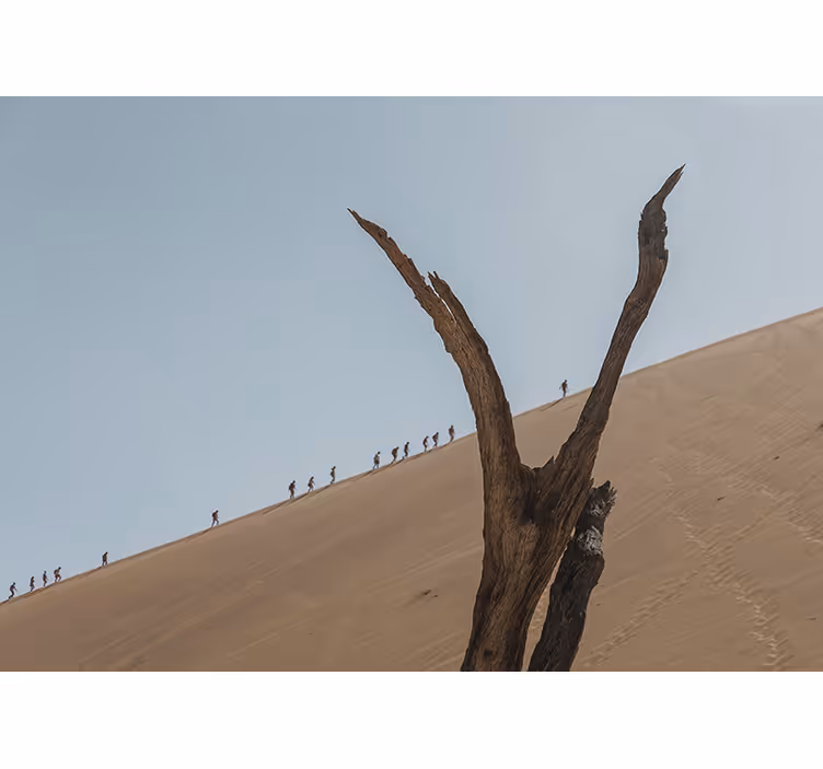 Mural de desierto silueta de excursionistas en las dunas - TenVinilo