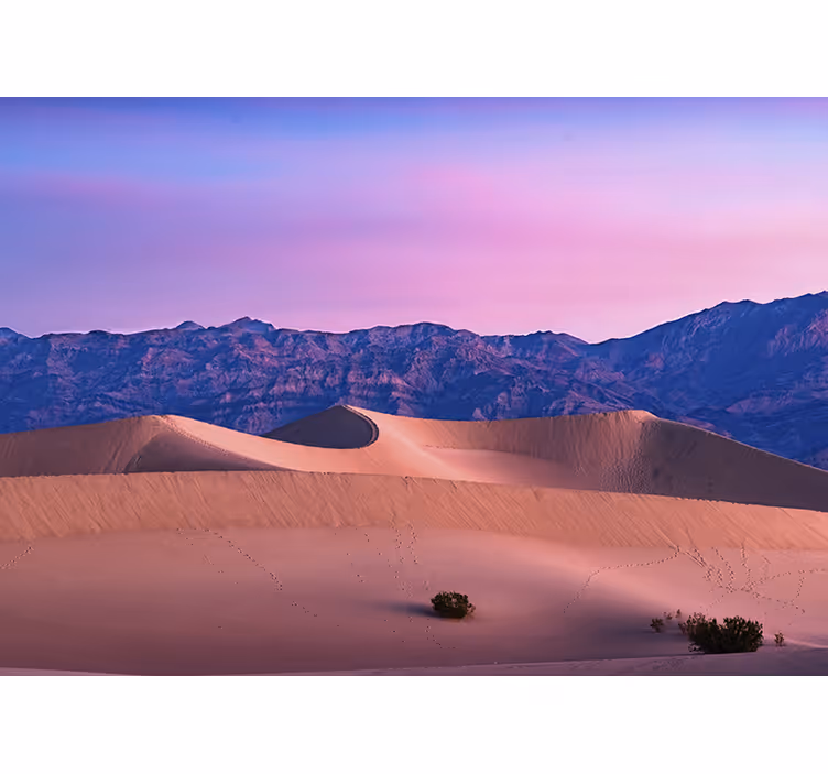 Fotomural desierto Diseño del desierto rosa claro - TenVinilo