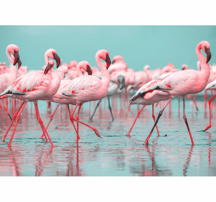Mural de animales paseo de flamencos - TenVinilo