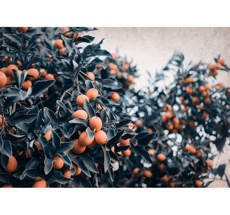 Mural de flores rama de frutas cítricas - TenVinilo