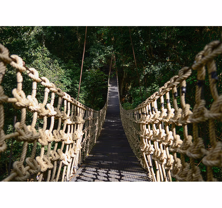Fotomural de bosque Puente de madera con animales tropicales. - TenVinilo