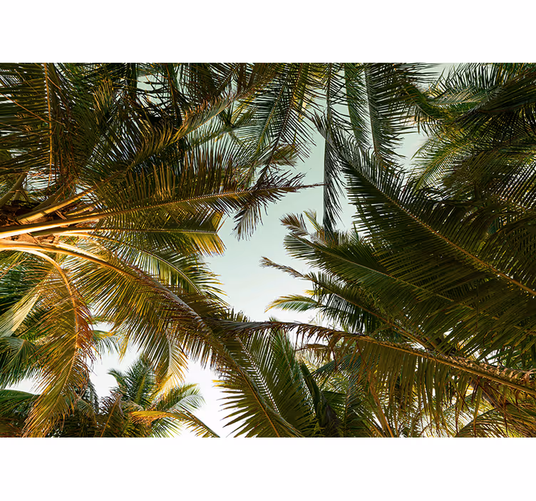 Fotomural de bosque Hojas de palmera verde - TenVinilo